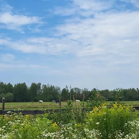 Casa de Férias Brzozowisko