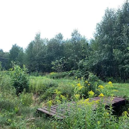 Casa de Férias Brzozowisko *